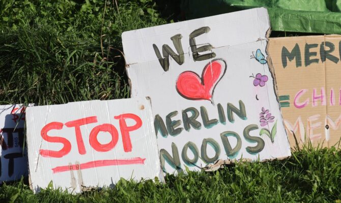 Friends of Merlin Woods Share Clearfell Update